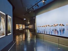 -罗红摄影艺术馆