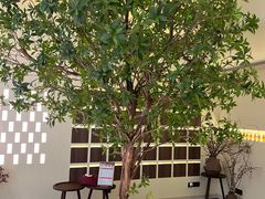 -静耳元気采耳·按摩·SPA(万象前海店)