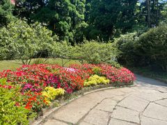 -庐山风景区花径公园