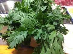 -蜀辣居鲜货老火锅(红牌楼店)
