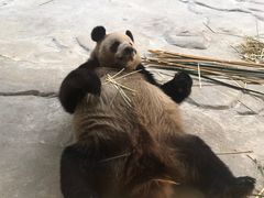 -杭州野生动物世界