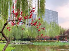 -木塔寺遗址生态公园