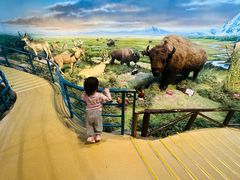 -陕西自然博物馆