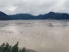 -北岐滩涂