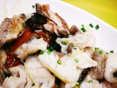 石斑-喜悦海鲜大酒楼(钱柜广场店)