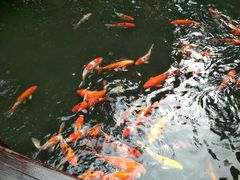 -德克士(呀诺达店)