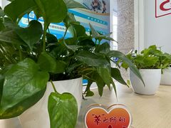 -交通银行(上海莘庄支行)