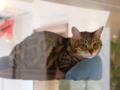 -Me Coffee下午茶艺术空间