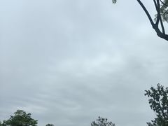 -成飞公园