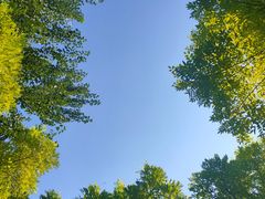 -塘沽森林公园