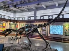 -自贡恐龙博物馆