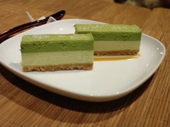 -柴务处·柴犬主题狗咖