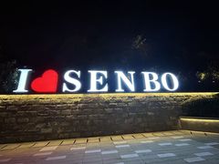 -杭州开元森泊度假乐园