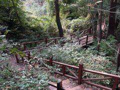 -大岭沟猕猴桃谷风景区