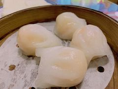 虾饺-捷信牛奶甜品世家(五道口店)