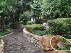 -融汇温泉
