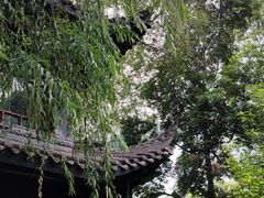 -大妙火锅·非物质文化遗产(东湖公园店)