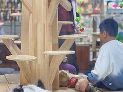 -上海大自然野生昆虫馆(东方明珠·爬宠昆虫探索中心)