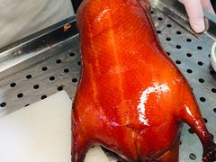-味+新京宴·烤鸭·北京菜(创意谷店)