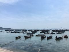 -海源公园
