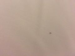 -汉庭(广州北京路天字码头店)