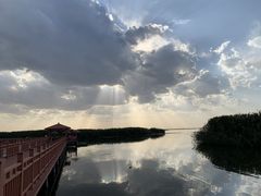 -乌梁素海景区