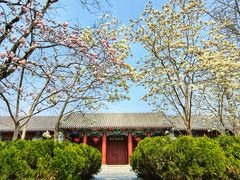 -菖蒲河公园