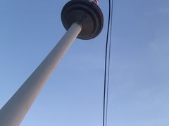 -辽宁电视塔