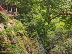 -莫干山风景区