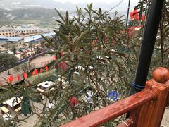-枇杷园食为鲜火锅(南山店)