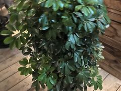 -霖公馆SPA·足道(普善路店)