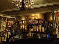 -雪灵魔法世界SHELLY’S TAROT(大良桂畔里店)