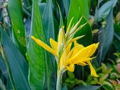 -荔枝公园(福田区)