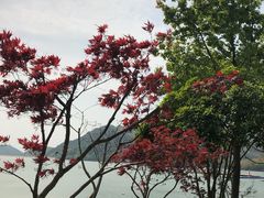 -宁波九龙湖开元度假村