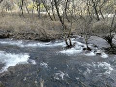 -楠溪江风景名胜区