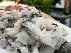 海鳗-濠轩阁特色生蚝火锅(水湾路店)