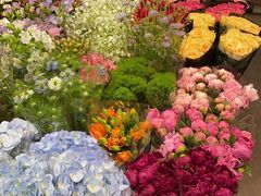 -双季花艺园艺市场(浦东店)
