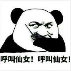 -四季美学色彩形象管理服装搭配