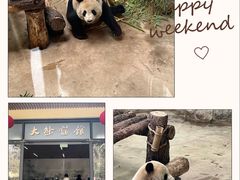 -杭州动物园