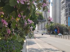 -招商局历史博物馆