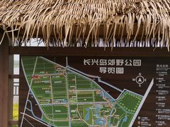 -上海长兴岛郊野公园