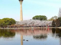 -中央广播电视塔