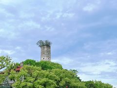 -江心屿景区