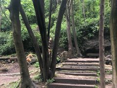 -黔灵山公园