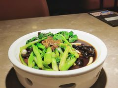 白灼菌菇菜心-新白鹿餐厅(金鹰新街口店)