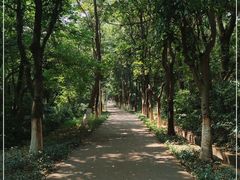 -紫马岭公园