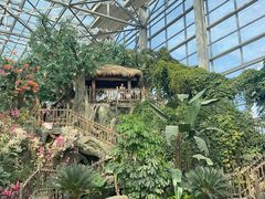 -祥源·阜阳生态乐园