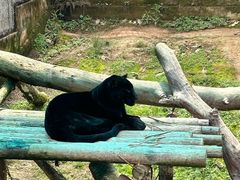 -宁波野生动物园