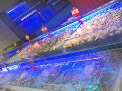 -四囍码头海鲜烧烤自助火锅(外滩南京东路悦荟广场店)