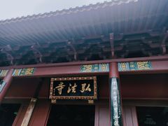 -深圳仙湖植物园
